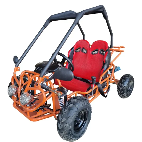 Buggy-pentru-copii-cu-motor-in-4-timpi-pe-benzina-110cc-cutie-de-viteza-D-N-R-2-locuri-1