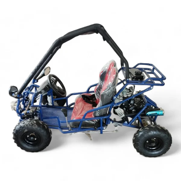 Buggy-pentru-copii-cu-motor-in-4-timpi-pe-benzina-110cc-cutie-de-viteza-D-N-R-2-locuri-albastru-3