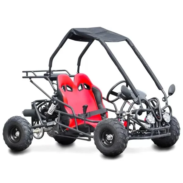 Buggy-pentru-copii-cu-motor-in-4-timpi-pe-benzina-110cc-cutie-de-viteza-D-N-R-2-locuri-negru-2